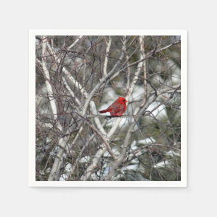 Cardinal Snow Birch Tree Photo Napkins