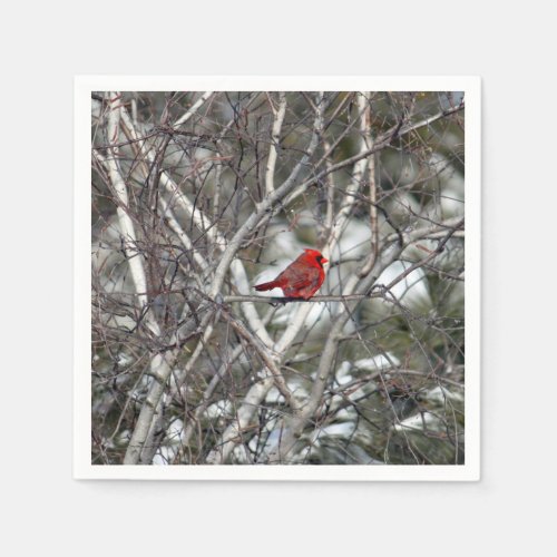 Cardinal Snow Birch Tree Photo Napkins