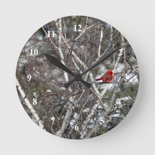 Cardinal Snow Birch Tree Photo Round Clock