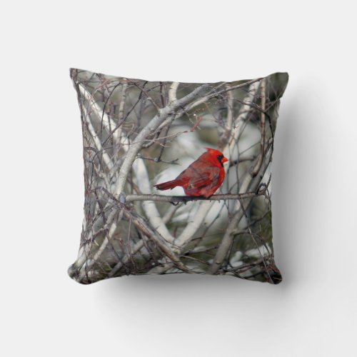 Cardinal Snow Birch Tree Photo Throw Pillow