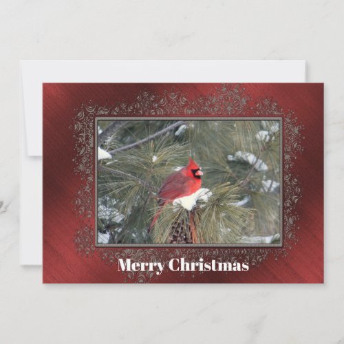 Cardinal Snow Pine Photo Christmas Flat Holiday Card