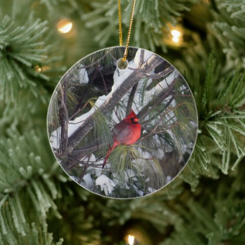 Cardinal Snow Pine Tree Photo Ceramic Ornament