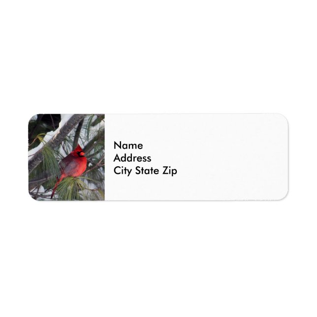 Cardinal Snow Pine Tree Photo Label (Front)