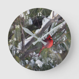 Cardinal Snow Pine Tree Photo Round Clock
