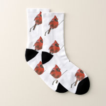 Cardinal