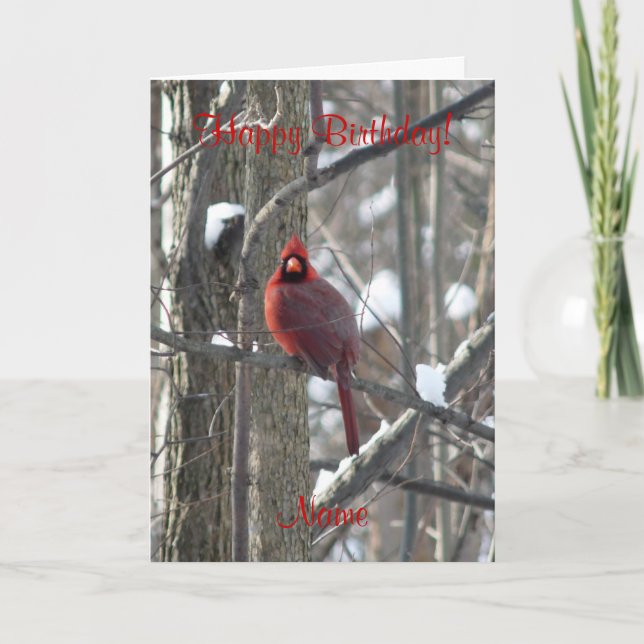 Cardinal-song bird in winter Birthday Card (Front)