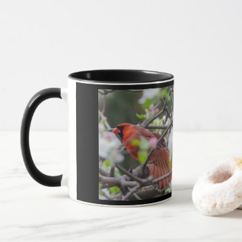 Cardinal Songbird Pair Mug by CarolsCamera at Zazzle