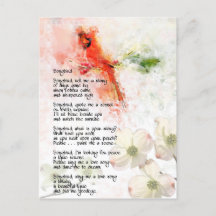 Cardinal - Songbird Poetry Love Nature