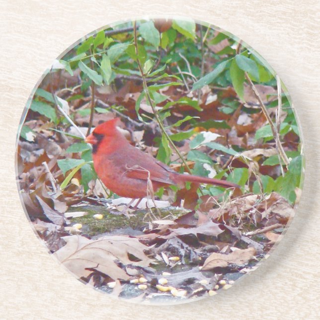 Cardinal Songbird Sandstone Coaster (Front)