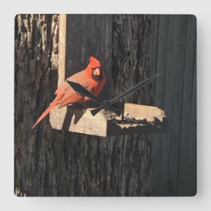 Cardinal square wall clock