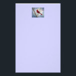 cardinal Stationery<br><div class="desc">From an original mixed media painting by Brenda Thour of a red male cardinal sitting on a bare tree branch with an abstract blue and pink sky. Copyright by Brenda Thour 2005.</div>