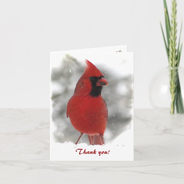 Cardinal Thank You (Front)