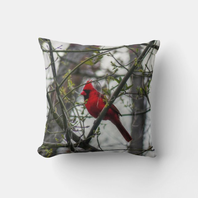 Cardinal Throw Pillow (Front)