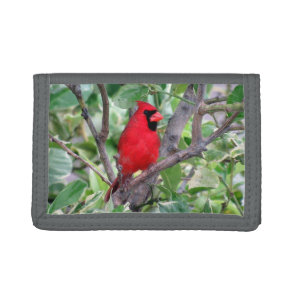 Cardinal Tri-Fold Wallet
