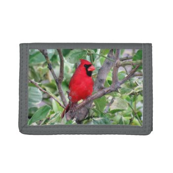 Cardinal Tri-fold Wallet by CatsEyeViewGifts at Zazzle