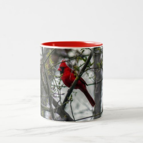 Cardinal Two_Tone Coffee Mug