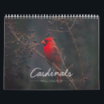 Cardinal Wall Calendar<br><div class="desc">Enjoy these stunning photos of nature's most beautiful red bird all year long. A new captivating cardinal photo awaits you each month.</div>