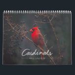Cardinal Wall Calendar<br><div class="desc">Enjoy these stunning photos of nature's most beautiful red bird all year long. A new captivating cardinal photo awaits you each month.</div>