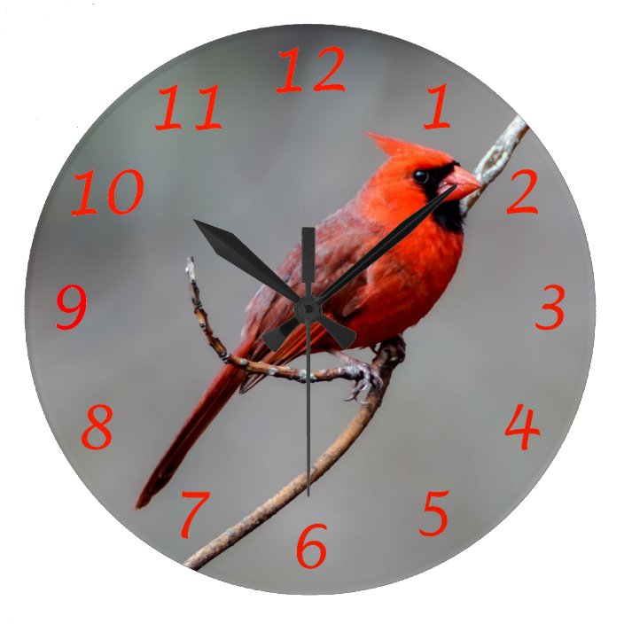 Cardinal Wall Clock | Zazzle.com