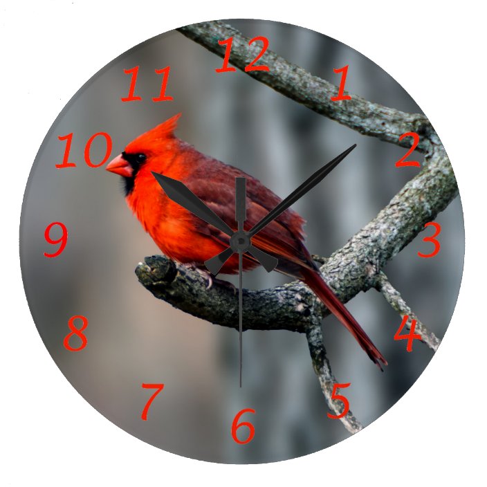 Cardinal Wall Clock | Zazzle.com