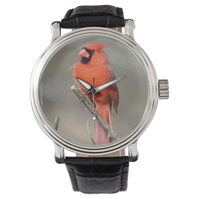 Cardinal Watch (Front)