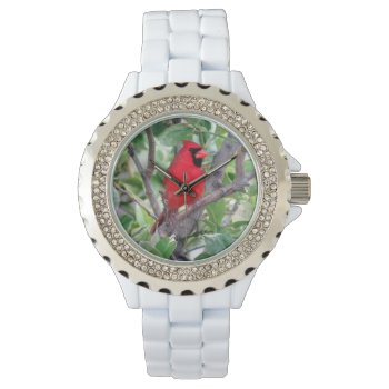 Cardinal Watch- Many Styles To Chose From Watch by CatsEyeViewGifts at Zazzle