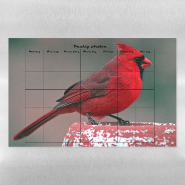 Cardinal Weekly Action Magnetic Dry Erase Sheet (Horizontal)