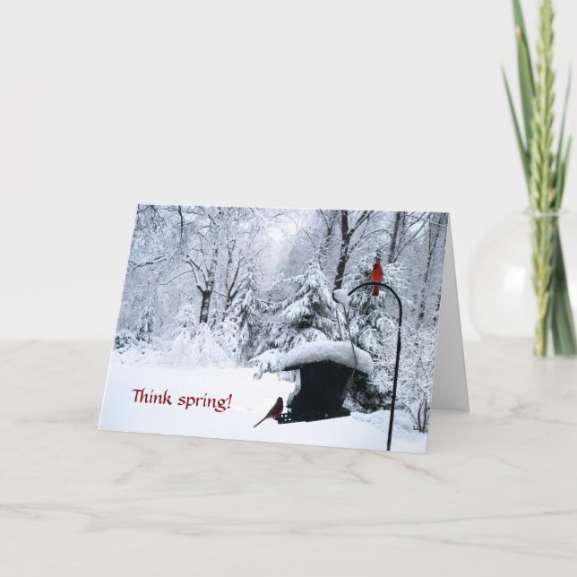 Cardinal  winter holiday birthday Christmas card (Front)