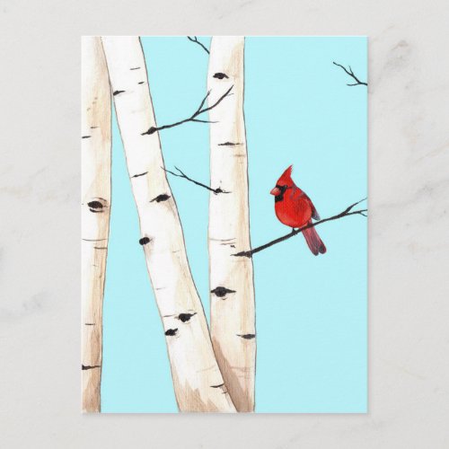 Cardinal with Birch Trees Postcard