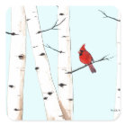 Cardinal with Birch Trees