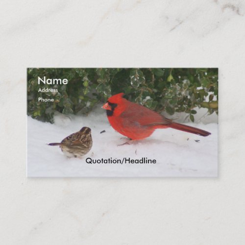 Cardinal with Sparrow Business Cards