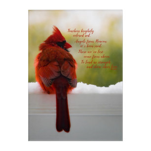 Cardinal with Visitor From Heaven poem 10x14 Acrylic Print