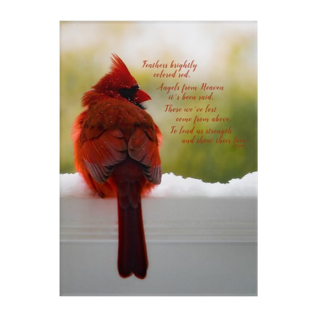 Cardinal with Visitor From Heaven poem 10x14 Acrylic Print (Front)