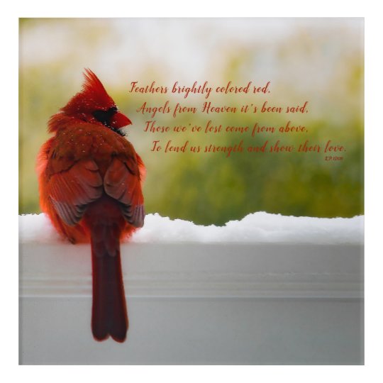 Cardinal with Visitor From Heaven poem 12x12 Acrylic Print | Zazzle.com