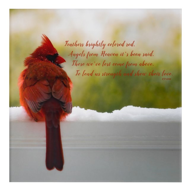 Cardinal with Visitor From Heaven poem 12x12 Acrylic Print (Front)