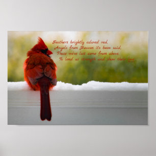 Cardinal with Visitor From Heaven poem 12x8 Poster