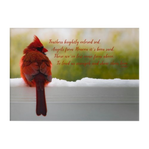 Cardinal with Visitor From Heaven poem 14x10 Acrylic Print