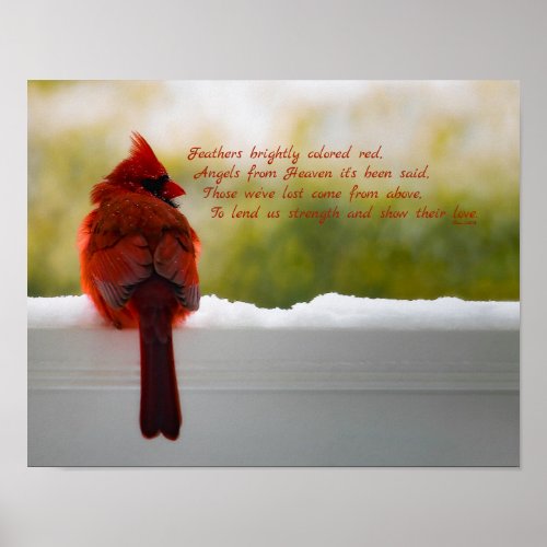 Cardinal with Visitor From Heaven poem 14x11 Poster