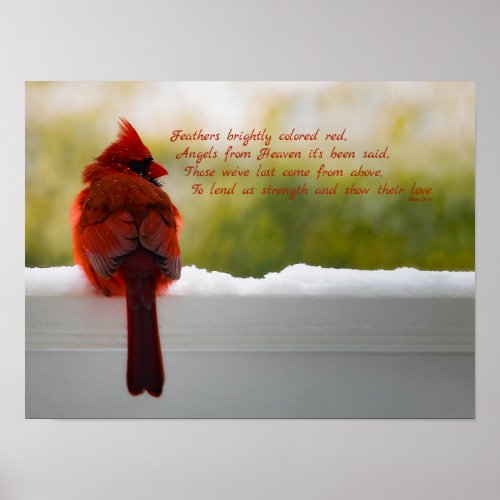 Cardinal with Visitor From Heaven poem 16x12 Poster