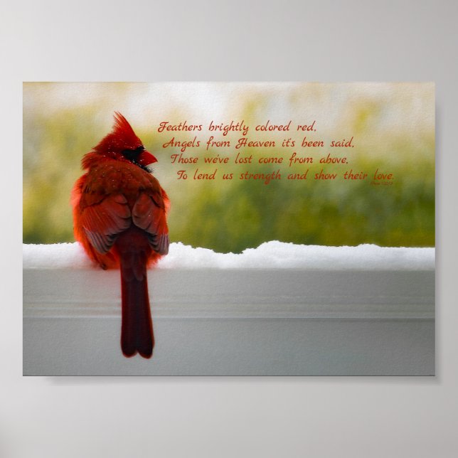 Cardinal with Visitor From Heaven poem 7x5 Poster (Front)