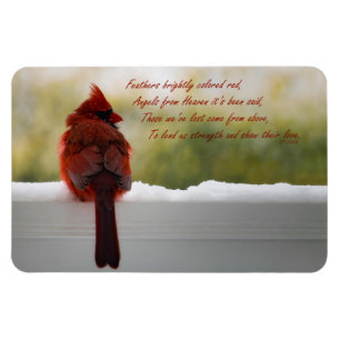 Cardinal with Visitor From Heaven poem Magnet