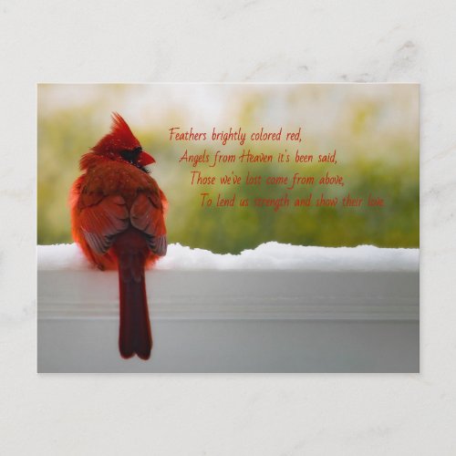 Cardinal with Visitor From Heaven poem Postcard