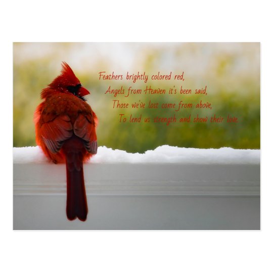 Cardinal with Visitor From Heaven poem Postcard