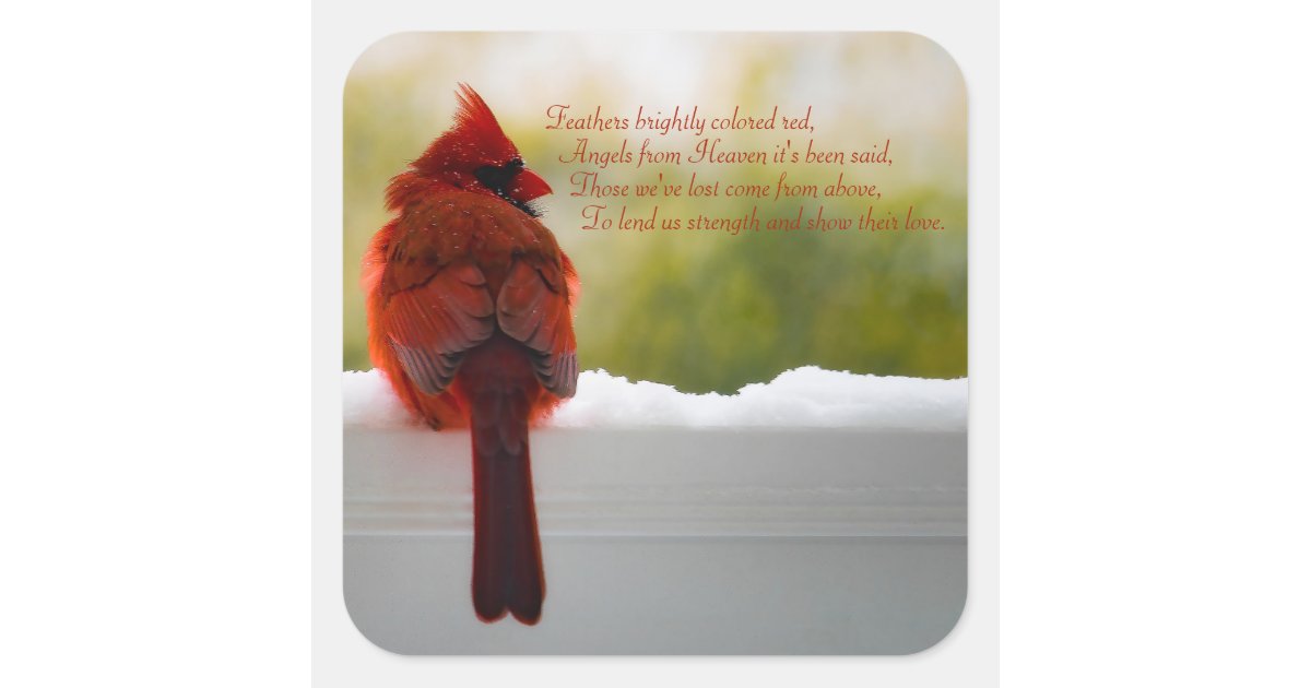 Cardinal with Visitor From Heaven poem 10x8 Poster