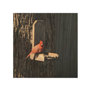 Cardinal Wood Wall Art