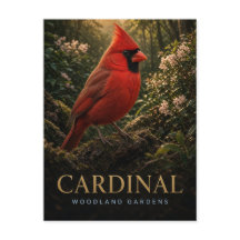 Cardinal Woodland Gardens Wildlife ANIMAL