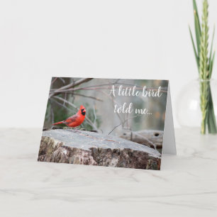 Cardinal Woodland Greeting Card