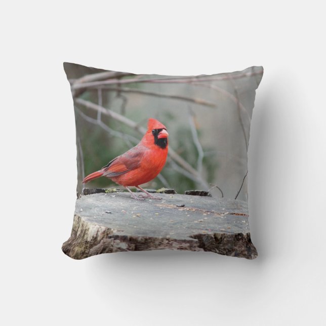 Cardinal Woodland Throw Pillow (Front)
