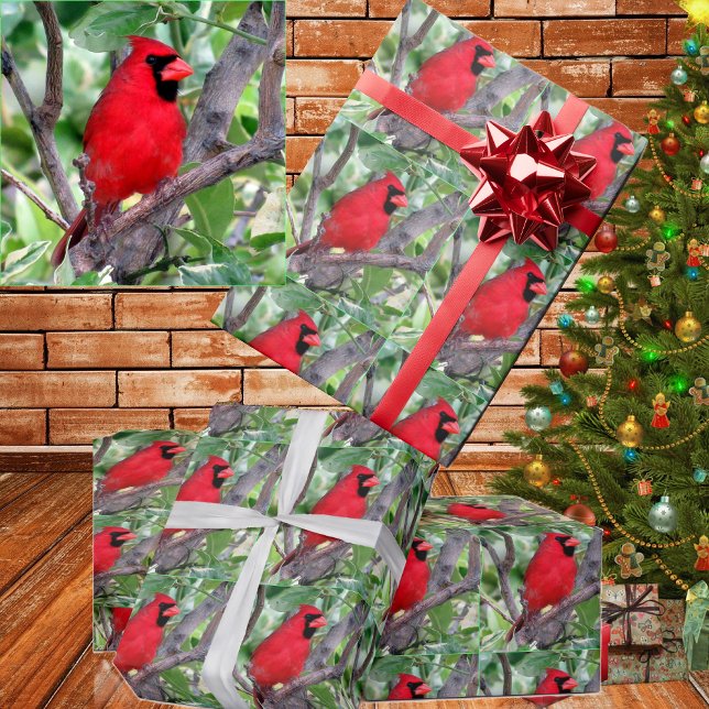 Cardinal Wrapping Paper (Creator Uploaded)