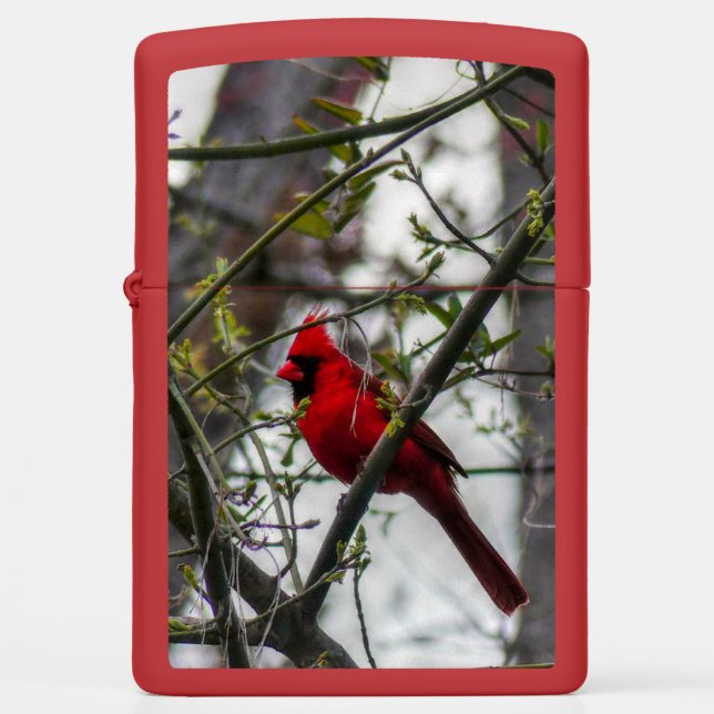 Cardinal Zippo Lighter (Front)